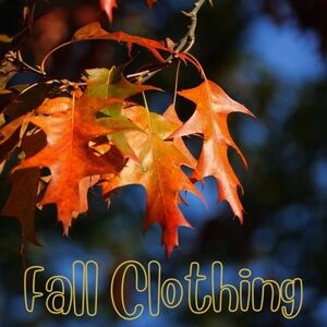 Fall clothing